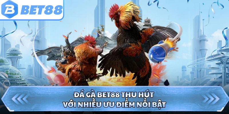 Đá gà BET88 thu hút với nhiều ưu điểm nổi bật