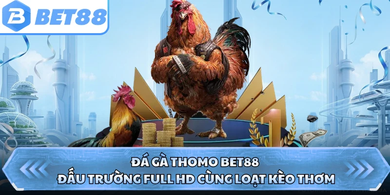Đá Gà Thomo BET88 - Đấu Trường Full HD Cùng Loạt Kèo Thơm